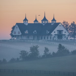 Fine Art Print of Manchester Horse Farm, Thoroughbred, Kentucky Horse Farm, Keeneland, Farm, Southern Wall Decor, Photo, Art, Print, Home