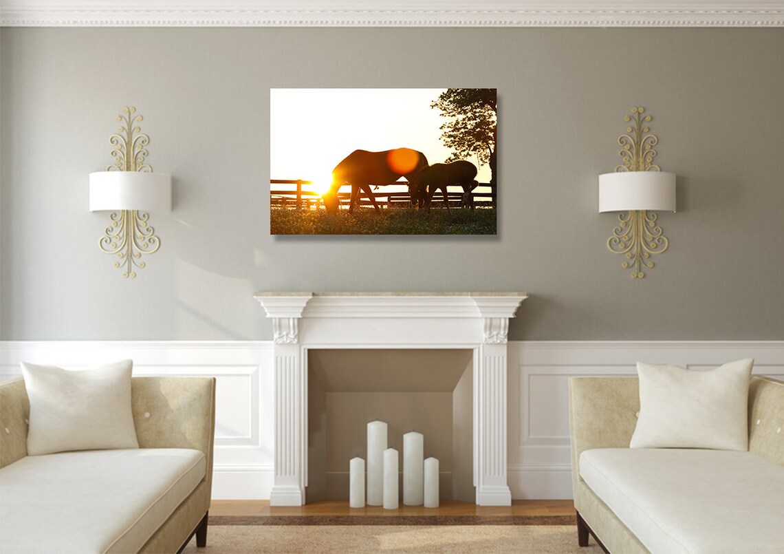 Horse Wall Art Photography Print Equestrian Decor Art Horses Etsy