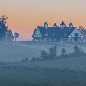 Fine Art Print of Manchester Horse Farm, Thoroughbred, Kentucky Horse Farm, Keeneland, Farm, Southern Wall Decor, Photo, Art, Print, Home