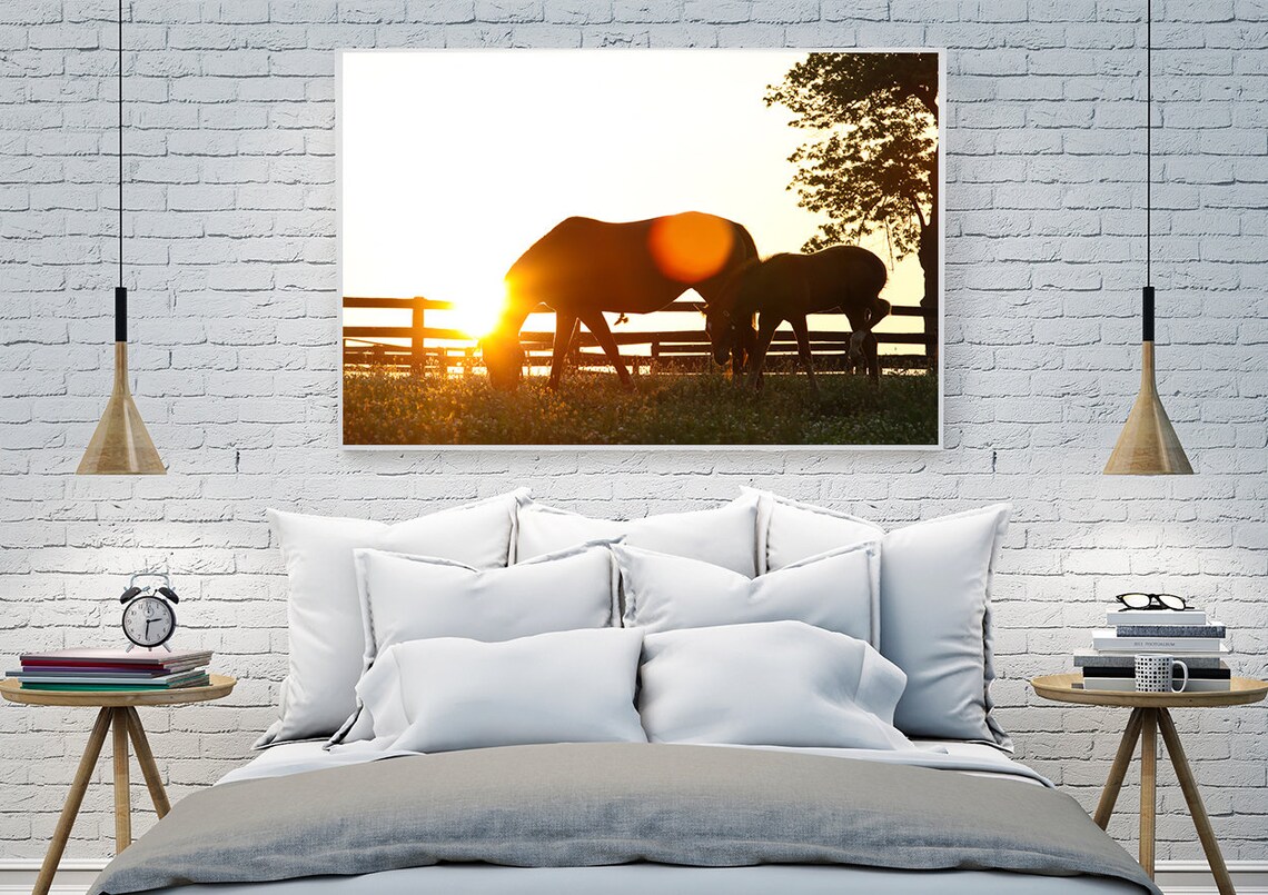 Horse Wall Art Photography Print Equestrian Decor Art Horses Etsy