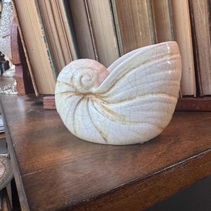 May include: A ceramic nautilus shell planter featuring a glossy off-white finish with a prominent brown crackle glaze pattern. The shell has a spiraled center and curved ridges that extend outward, creating a hollow opening at the top.