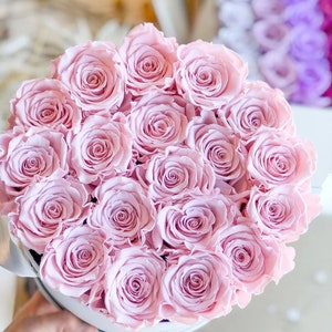 Round Luxury Rose Collection