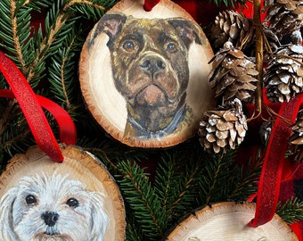 Custom pet portrait ornaments