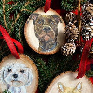 Custom pet portrait ornaments