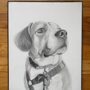 Custom Pet portrait from photo with picture frame