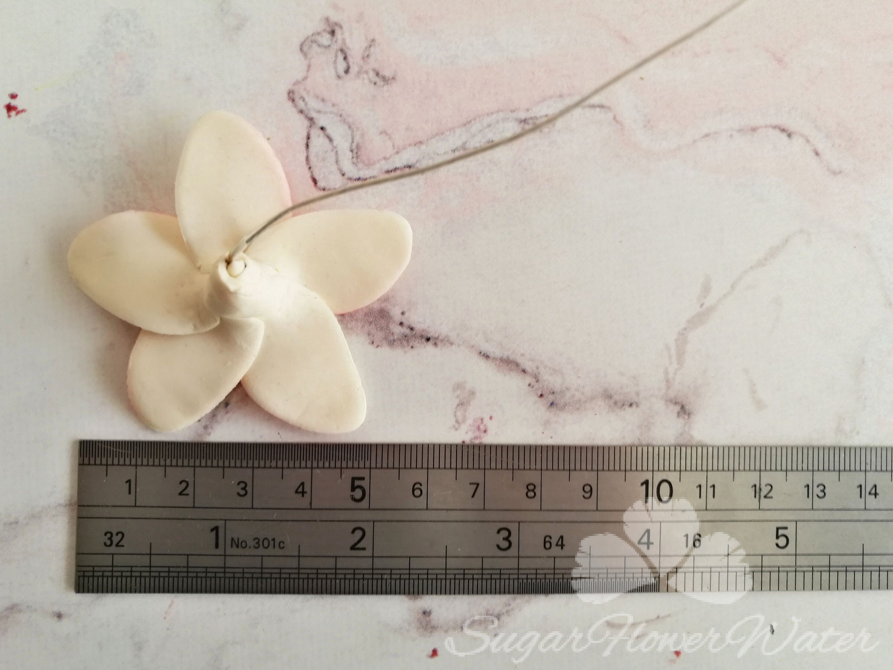 Single frangipani plumeria 5cm gumpaste sugar flower for Etsy