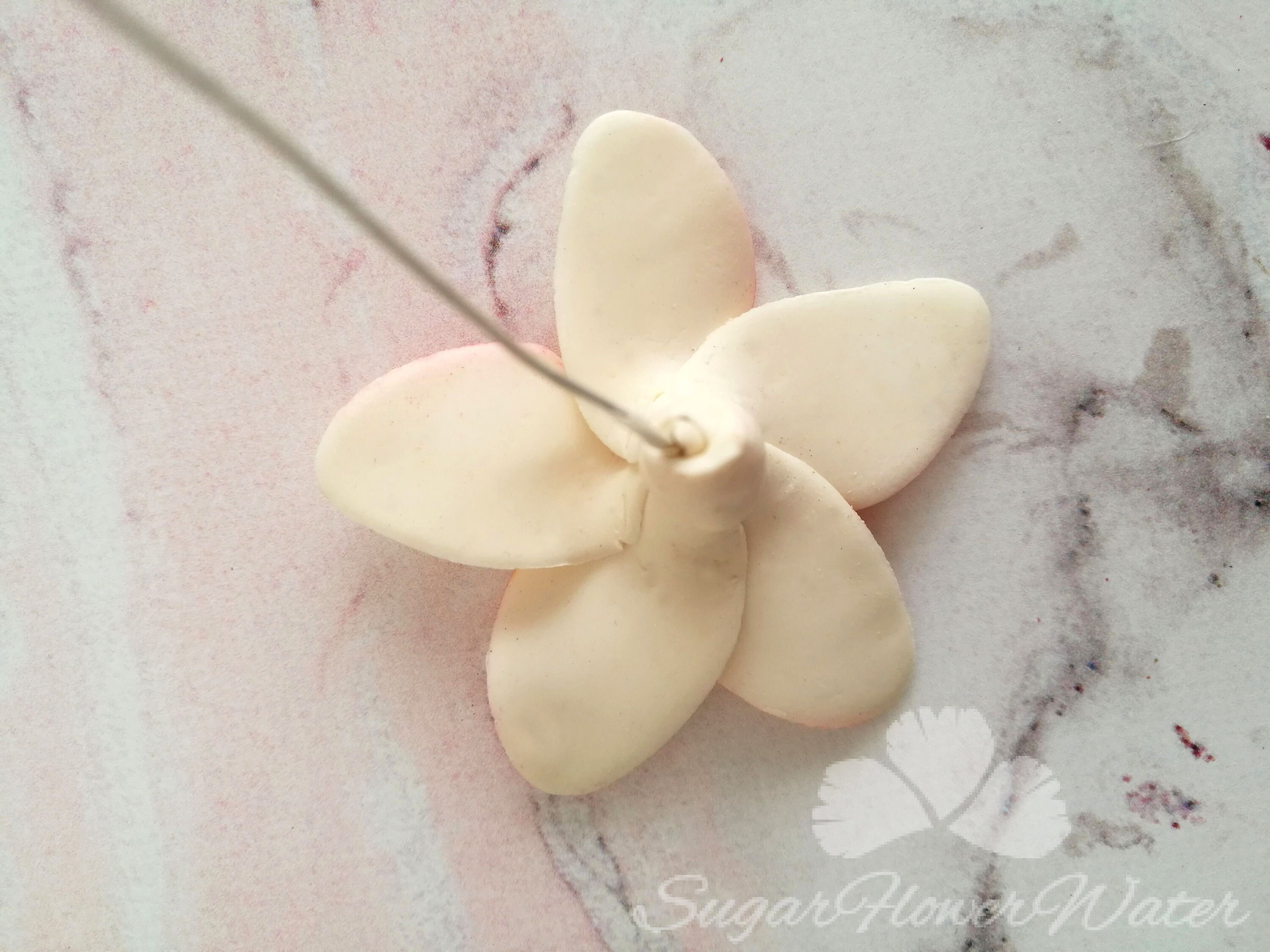 Single frangipani plumeria 5cm gumpaste sugar flower for Etsy