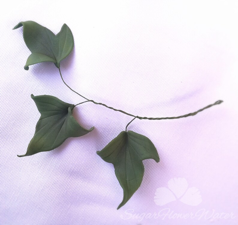 Threeleaf ivy pointed branch gumpaste sugar for wedding Etsy