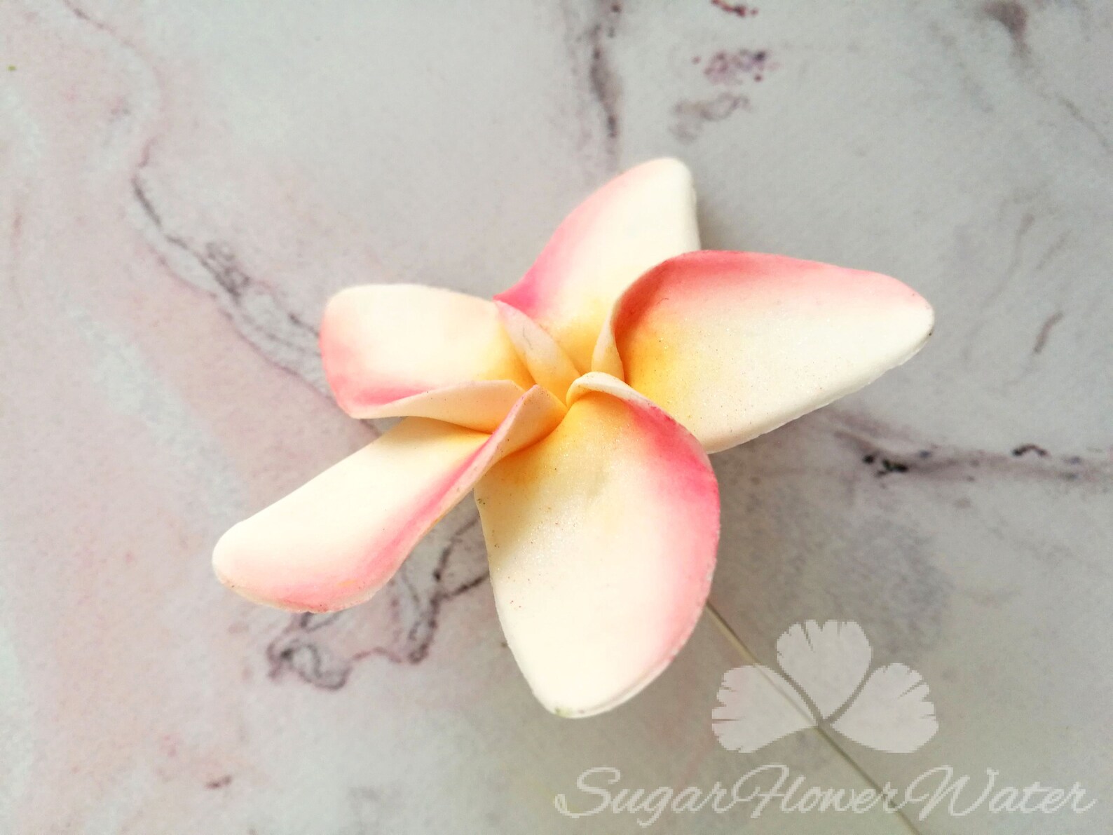 Single frangipani plumeria 5cm gumpaste sugar flower for Etsy
