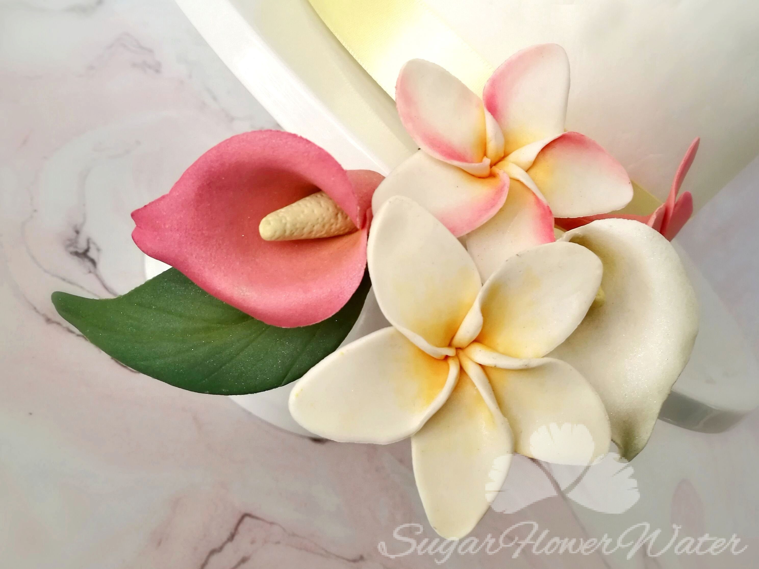Single frangipani plumeria 5cm gumpaste sugar flower for Etsy