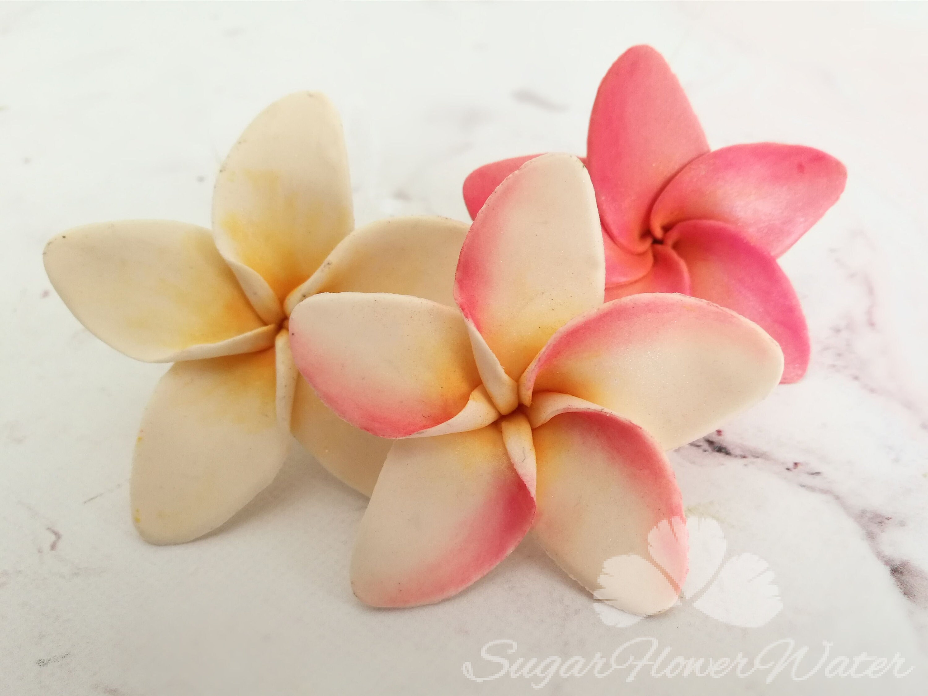 Single frangipani plumeria 5cm gumpaste sugar flower for Etsy