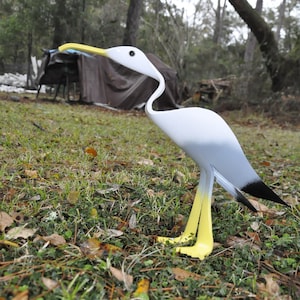 Bird Baby Seagull Yard Art With Foot Spike