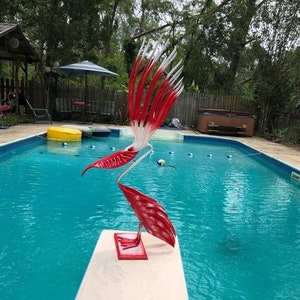 Sammy Showing His Alabama Colors on Stand