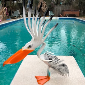 Little Freddy the Pelican