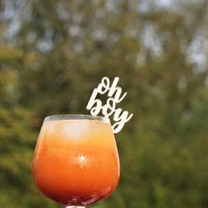 20 oh boy agitadores agitadores de bebidas agitadores de bebidas para baby shower agitadores de bebidas para bodas TODO EL MISMO TEXTO oh boy agitadores de bebidas