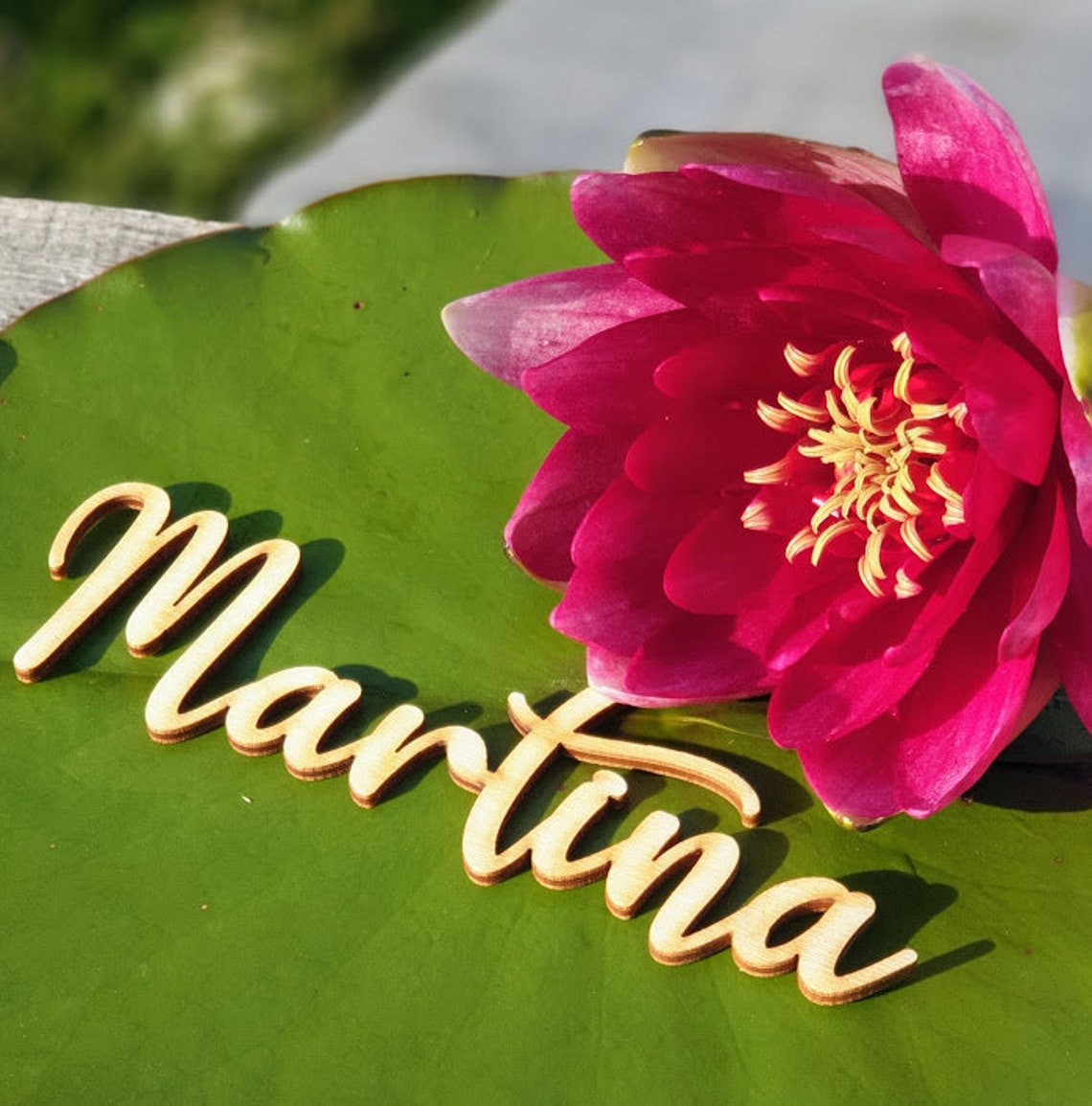 wood-place-cards-wedding-place-cards-custom-laser-cut-names-etsy