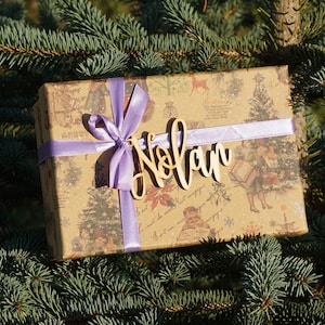 May include: A brown gift box with a purple ribbon and a wooden name tag that says "Nolan" on it. The box is sitting on a green pine tree branch.