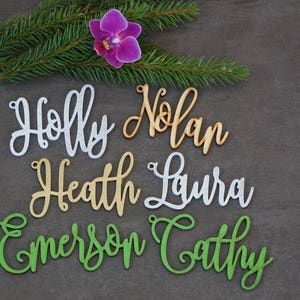 May include: Six wooden names, "Holly", "Nolan", "Heath", "Laura", "Emerson", and "Cathy", are arranged in a decorative pattern on a gray background. The names are in different colors, including silver, gold, and green.