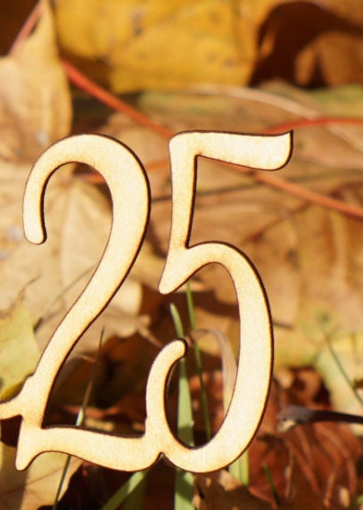Cake Topper 25 Personalised Number Any Number Cake Topper - Etsy