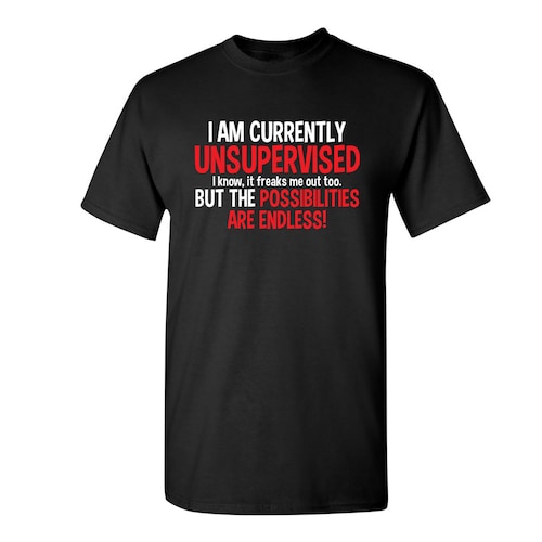 I AM CURRENTLY UNSUPERVISED SCARES ME T FUNNY HUMOR  GIFT PRESENT COTTON T SHIRT 