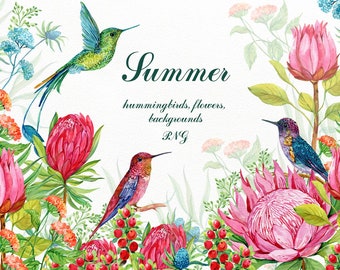 Hummingbirds Exotic Flowers Clipart ,Watercolor tropical Clip Art,Watercolor floral,watercolor floral Png