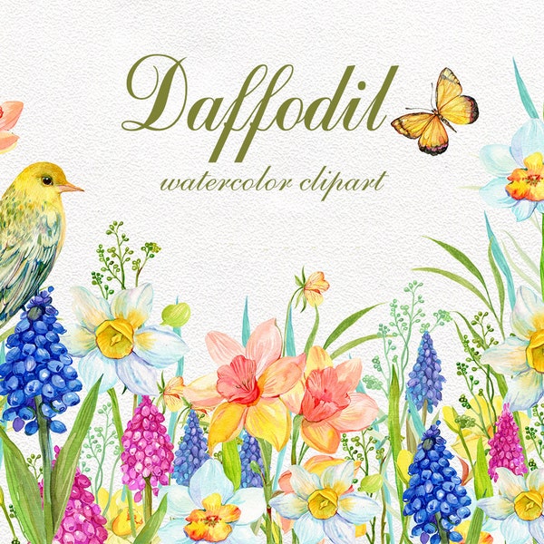 Narzisse Clipart, Aquarell digitale Narzisse ClipArt, Aquarell ClipArt, florale ClipArt, botanische ClipArt