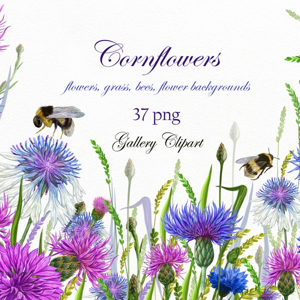 Cornflowers Clipart PNG,thistle clipart png Flower clipart png, Botanical clipart, Floral Graphics