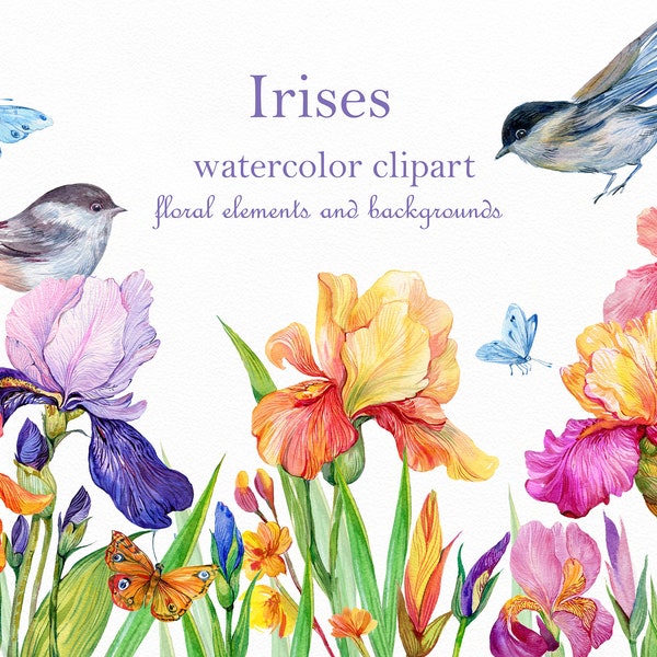 Iris watercolor clipart, Clipart flower,floral watercolor, 26 PNG elements,3 flower backgrounds