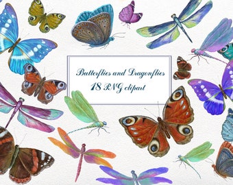 Butterfly Clipart . 18 PNG collection of butterflies and dragonflies. Digital hand painting.Insects PNG Instant download