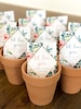 Let Love Grow- Custom Seed Wedding Favors SEALED with SEEDS INCLUDED, Colorful, Elegant Wedding Favors, Elegant Wedding Favors, Unique Favor 