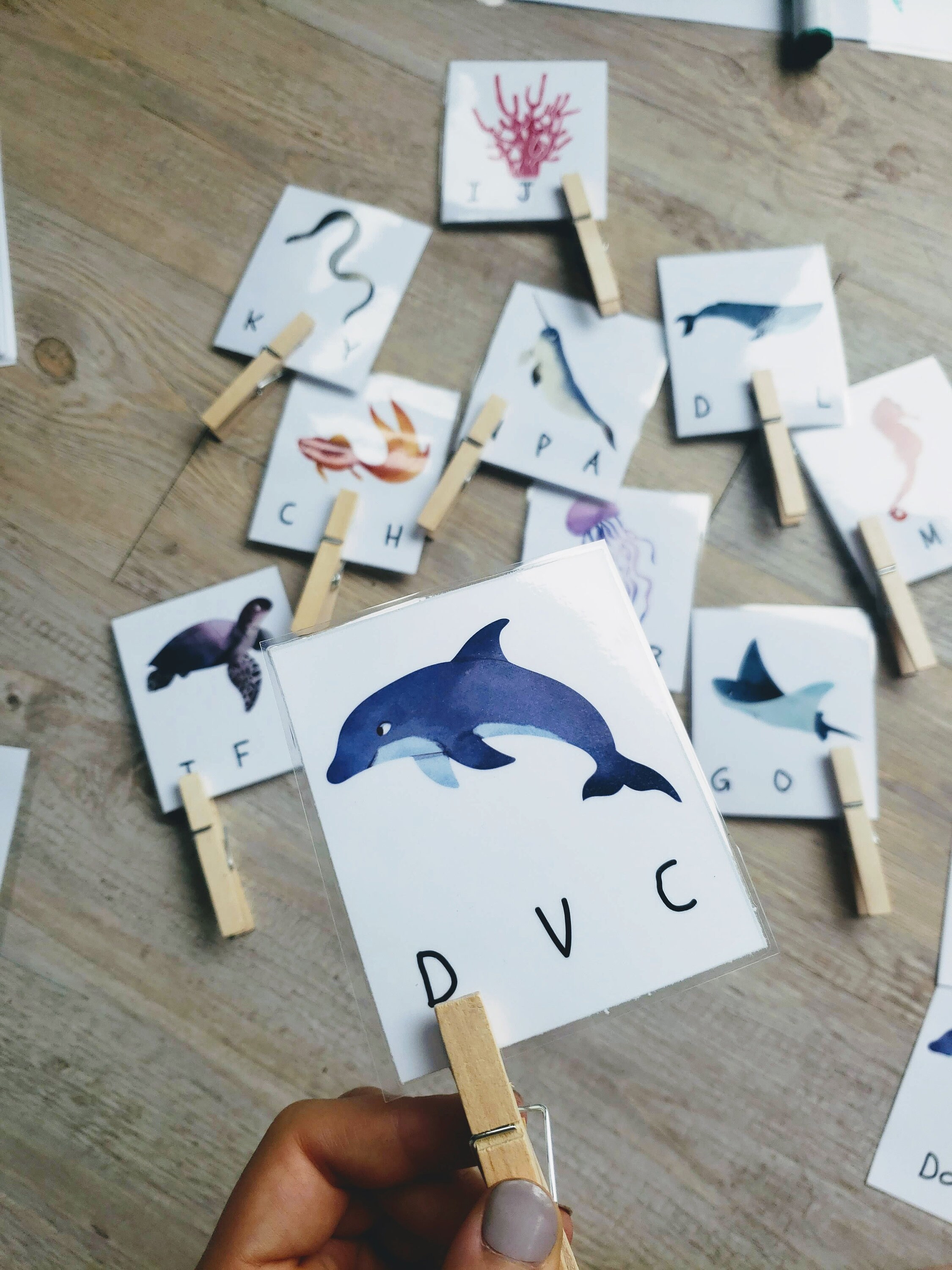 Ocean Unit Learning Bundle preschool early elementary | Etsy