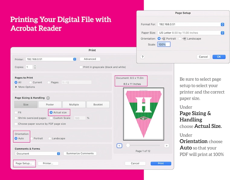 以下が含まれることがあります： Adobe Acrobat Reader でドキュメントの印刷設定を示すコンピューター画面のスクリーンショットです。ドキュメントは、ピンクとグリーンの横断幕で、