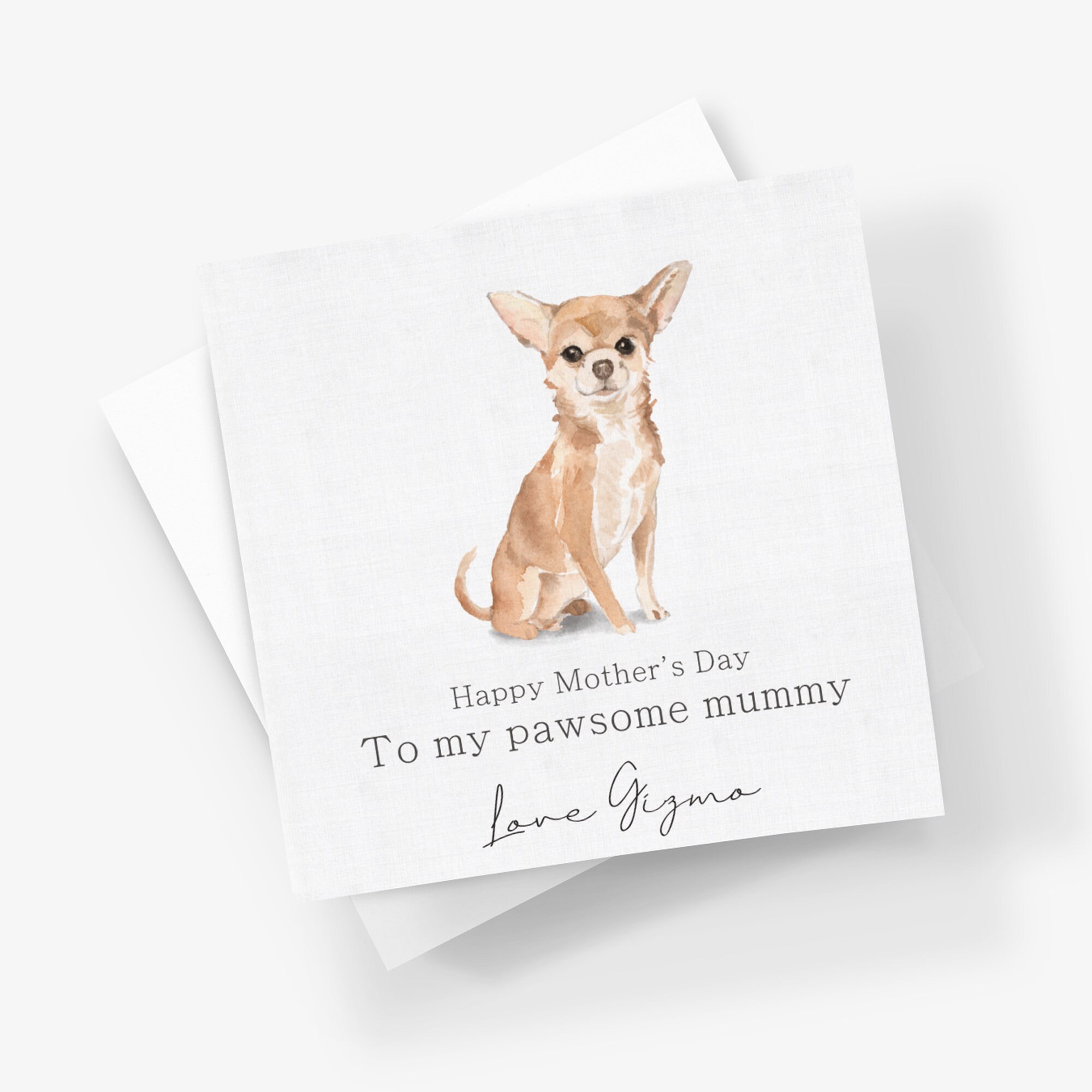 Are Mums Safe For Dogs