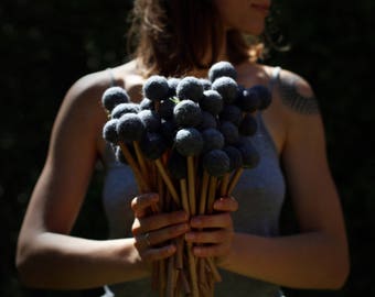 Mazas de tambor de lengüeta de acero, madera con aceite de lino, 25 cm, hechas a mano