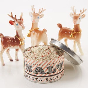 Santa Salt image 1