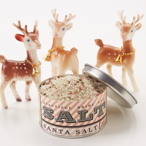 Santa Salt