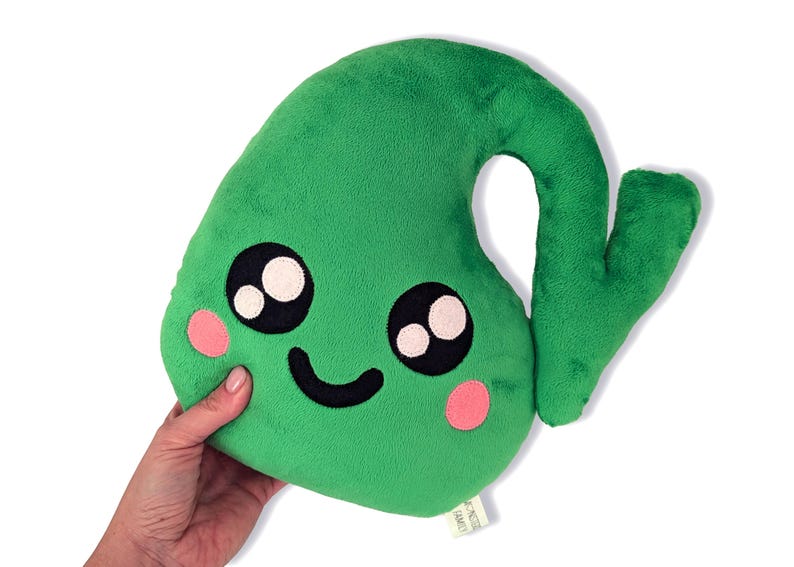 Anatomical Gallbladder Plush Organ, Gallbladder Surgery Gift