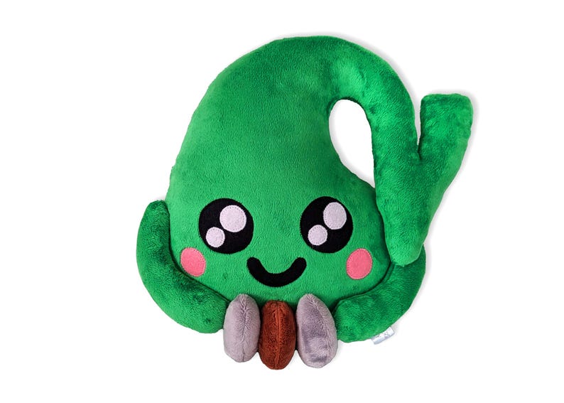 Anatomical Gallbladder Plush Organ, Gallbladder Surgery Gift