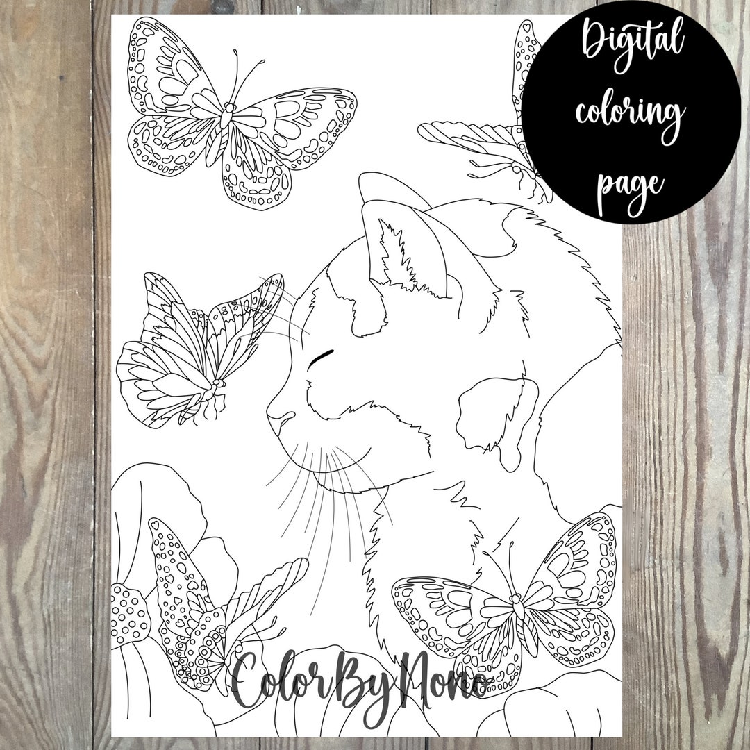 Cat and Butterflies Coloring Page - Etsy
