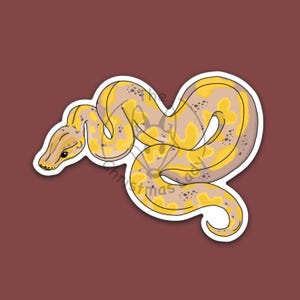Op de afbeelding: Een sticker met een gestileerde illustratie van een slang. De slang heeft een bruin lichaam met gele en bruine markeringen. De sticker is wit omlijnd en geplaatst tegen een bordeauxrode achtergrond.