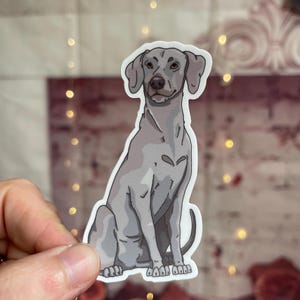 Weimaraner dog sticker  - weatherproof 3 inch vinyl sticker