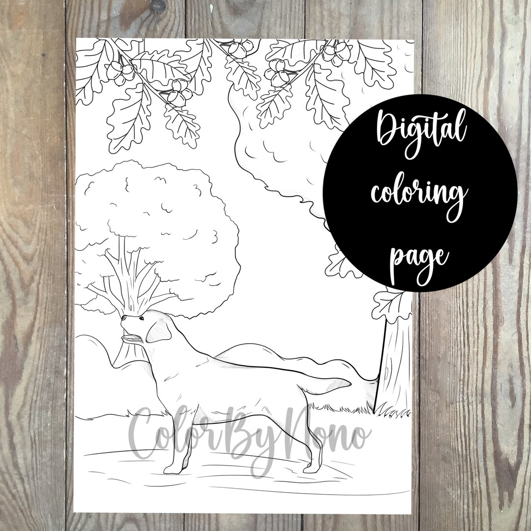 Labrador Dog Coloring Page Digital Download to Print at Home - Etsy