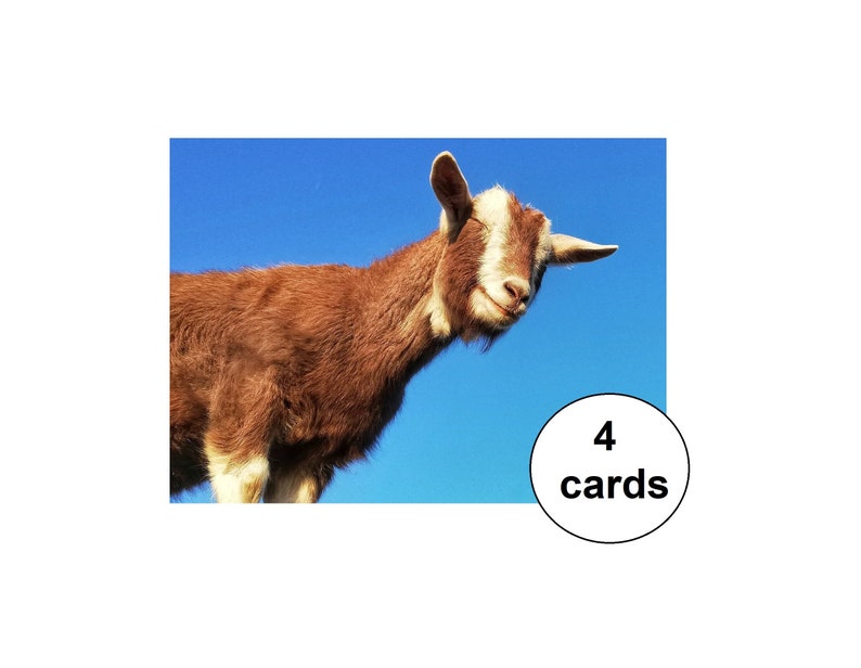 set of 4 post cards celebration card birthday card A6 size goat post card Party goat