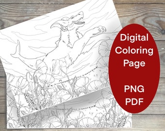 Manokit Coloring page , manokit outline, manokit art, manokit and poppy field, poppy line art, poppy flowers coloring page, printable art