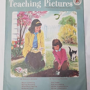 Vintage Educational School Poster Pack 1960''s 1970's 1980's