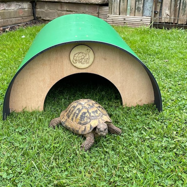 Tortoise House