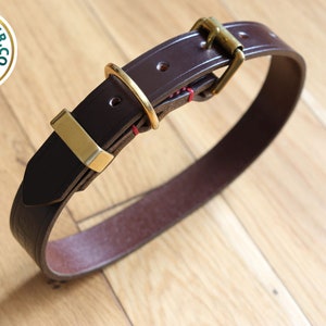 May include: A brown leather dog collar with brass hardware. The collar has a red stitching detail.