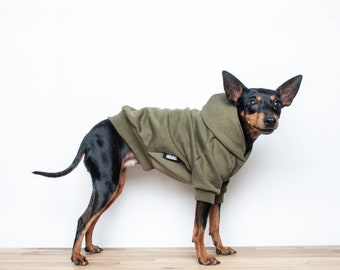 Handmade Khaki Green Dog Hoodie: Fleece Lined Pet Sweater