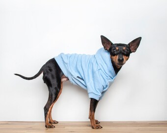 Handmade Fleece Lined Dog Hoodie: Light Blue Cotton Sweater