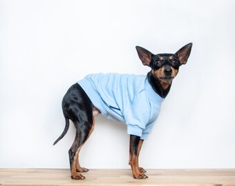 Dog Sweater / Dog jumper - Handmade fleece lined sweatshirt for dogs - Light Blue. Tripod friendly